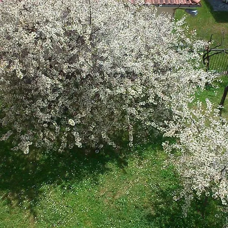 Menta Πανσιόν